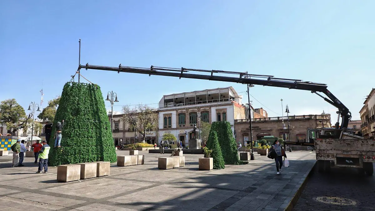 árbol de navidad morelia